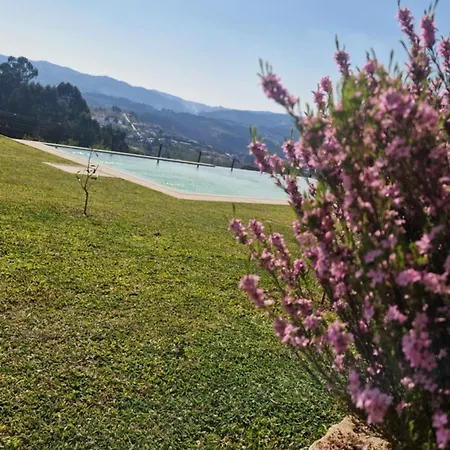 Vakantiehuis Quinta Do Trigal